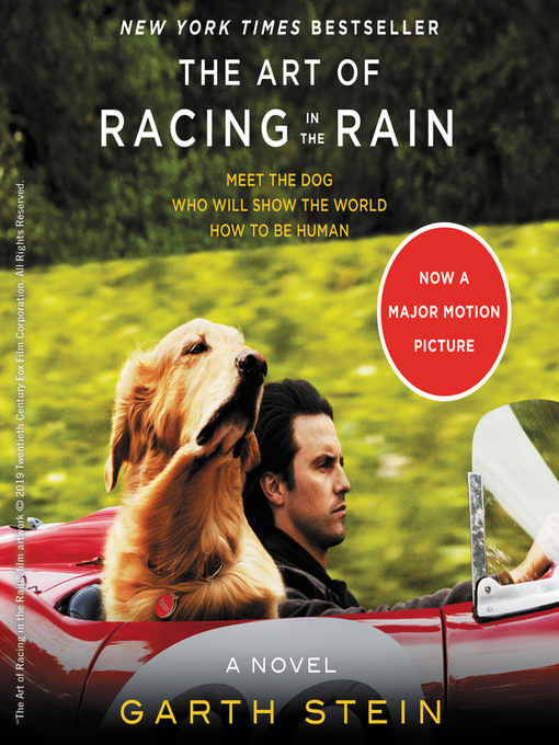 Upplýsingar um The Art of Racing in the Rain eftir Garth Stein - Til útláns